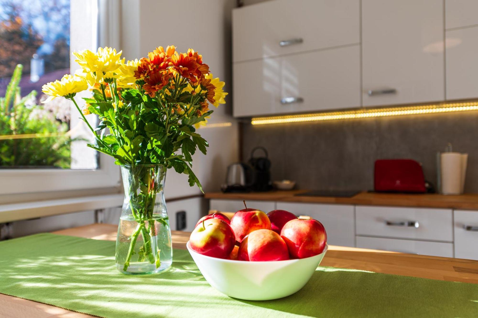 Ubytovani Na Samote - Apartman U Tesaru Komarice Εξωτερικό φωτογραφία